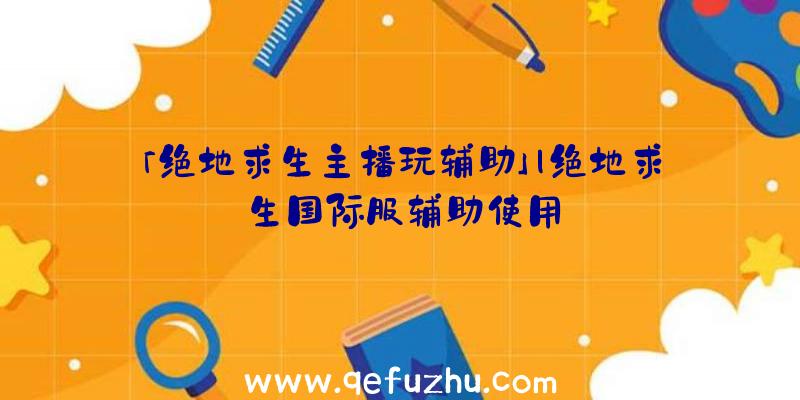 「绝地求生主播玩辅助」|绝地求生国际服辅助使用